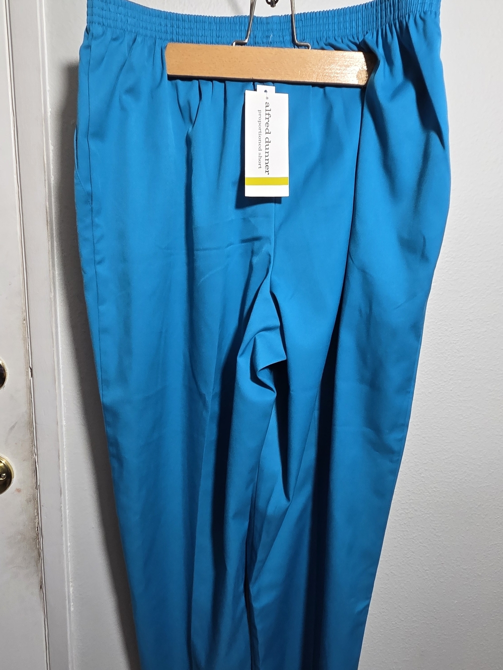Alfred Dunner Men's Bright Teal Elastic-Waist Pants